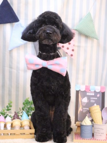 20250509アロちゃん